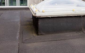 disadvantages of Donwell flat roofs